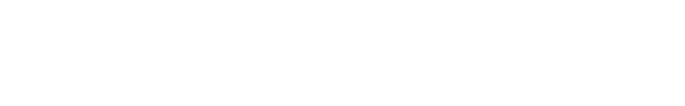 LVX Interiors